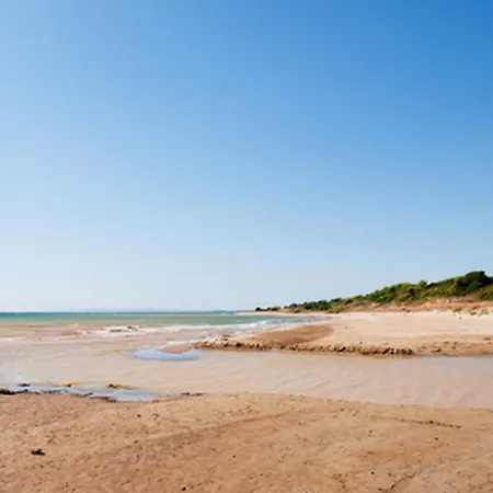 Daire Trikalioti's Lush Estate *