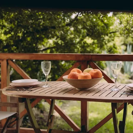 Trikalioti's Lush Estate Palouki