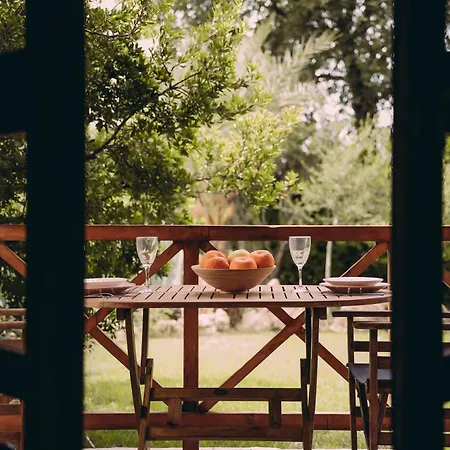 Daire Trikalioti's Lush Estate