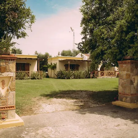 Daire Trikalioti's Lush Estate