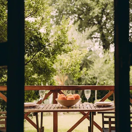 Trikalioti's Lush Estate Apartamento