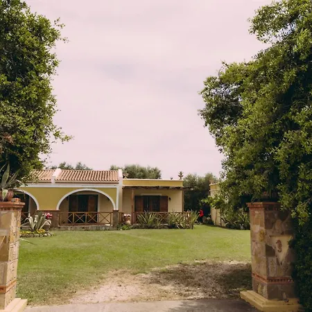 Daire Trikalioti's Lush Estate *