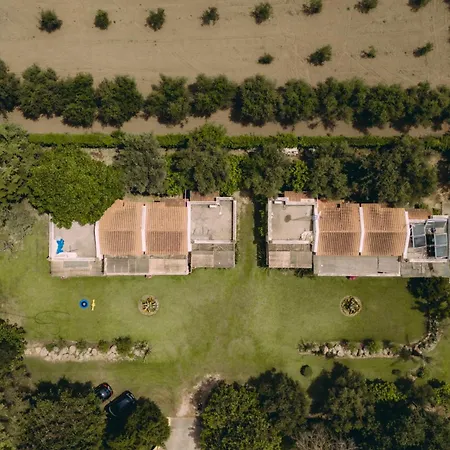 Daire Trikalioti's Lush Estate